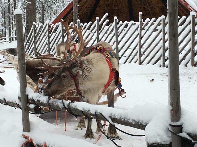 Santa Villeage, Rovaniemi, Finland