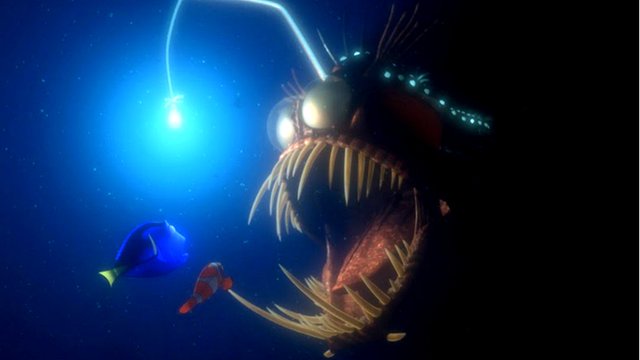 3 Animales raros del fondo del Mar — Steemit