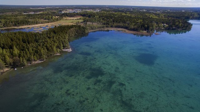 Finland Lake #1