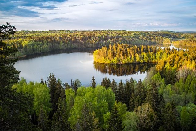 Finland Lake #1