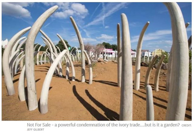 Hampton Court Flower Show - Ivory poaching, flooding and climate change