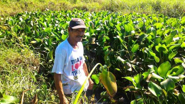 These Are 2 Crazily Innovative Cleantech Solutions Helping Farmers In The Philippines