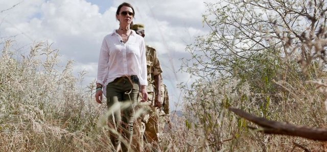 US war veteran now fighting to save Africa's elephants