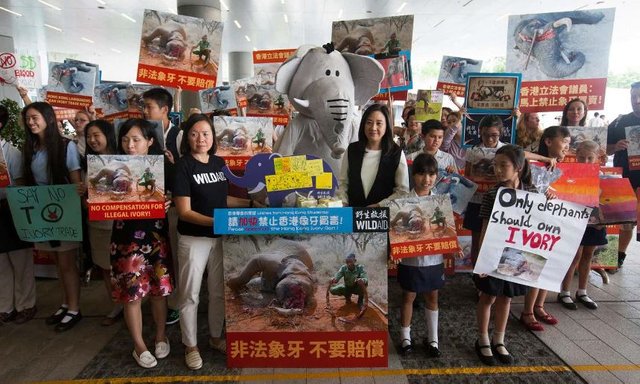 Hong Kong launches bill to ban domestic ivory trade