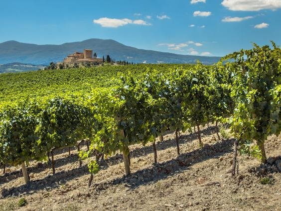 Global warming is now threatening wine production in the Mediterranean