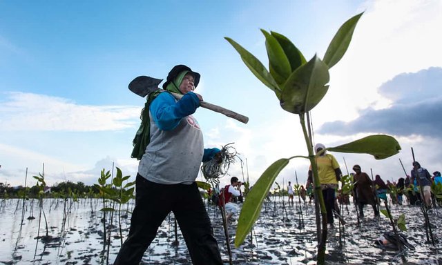 Doomsday narratives about climate change don't work. But here's what does