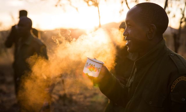 A day in the life of an anti-poaching ranger – in pictures