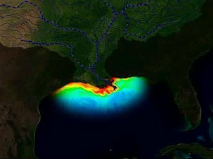 Click image to view story: Climate change, sewage and fertilisers could trigger mass extinction of life in oceans, scientists warn