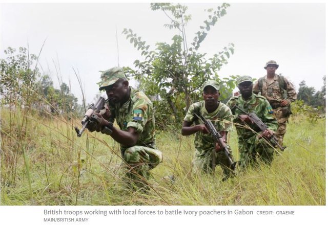 Click image to view story: New Army specialists to hunt African wildlife poachers  and revive tracking skills