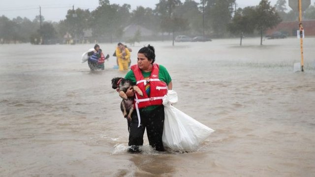 Click image to view story: Hurricane Harvey: The link to climate change