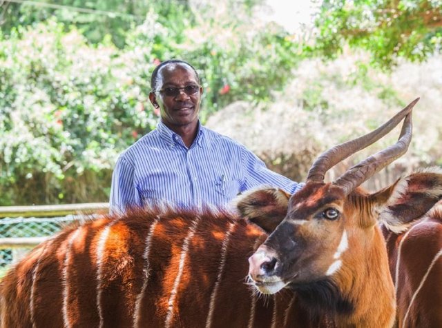 Click image to view story: Meet Humphrey Kariuki, The Kenyan Multi-Millionaire Preserving Endangered Animal Species
