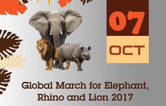 Click image to view story: Wildlife Conservation News for 7 Oct 2017 - UK Ivory Ban Special