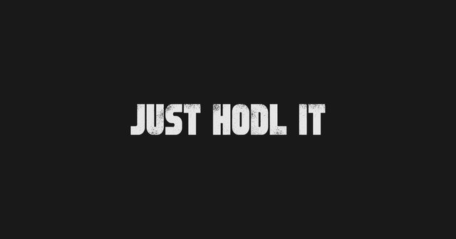 just-hodl-it