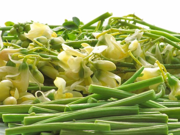 Moringa pods and flowers