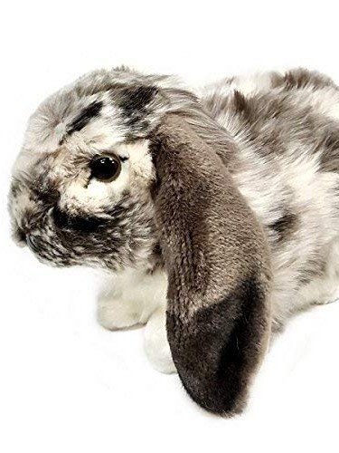 floppy eared stuffed bunny
