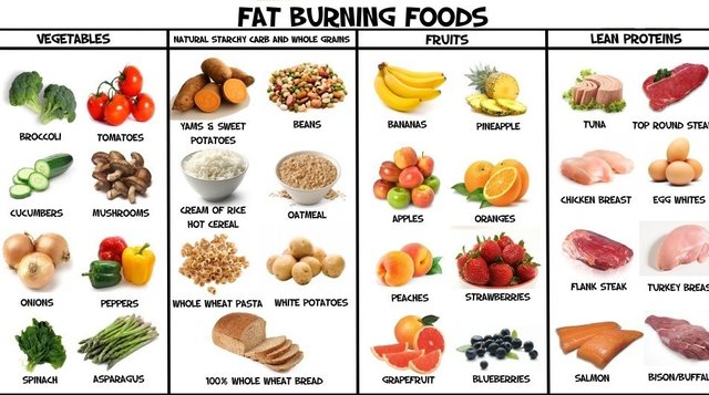 foods that make you lose weight