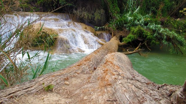 River with log bridge