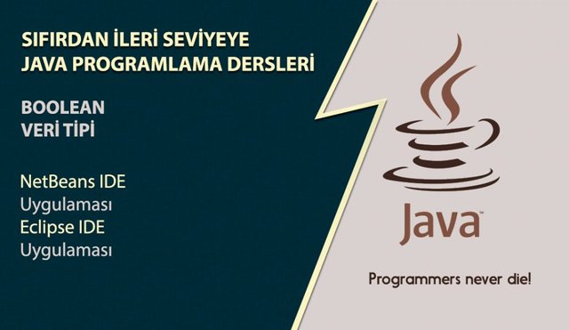 Java programlama dersleri Boolean Veri Tipi