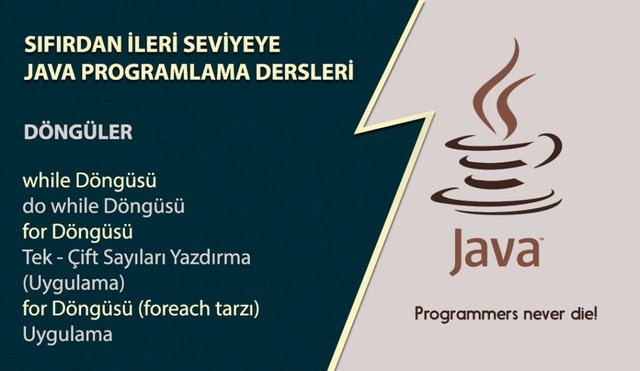 Java Programlama Dersleri, Döngüler