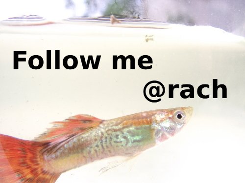 Follow me @rach