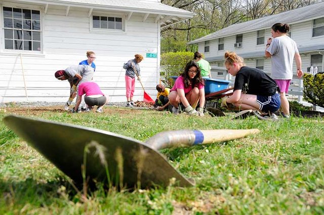 Become a better gardener