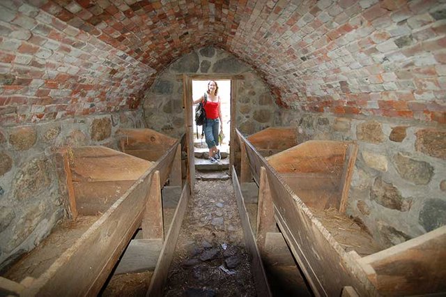 Apple storage cellar