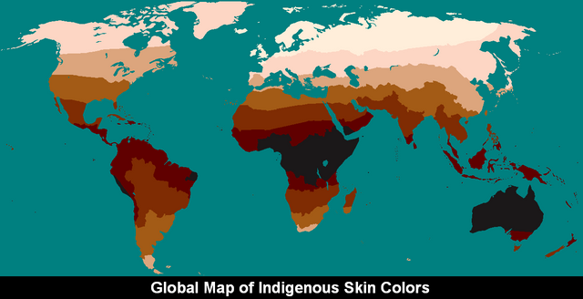 Skin Colors