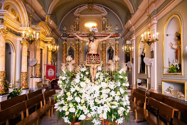 Romeria del Cristo de la Salud El Palmar