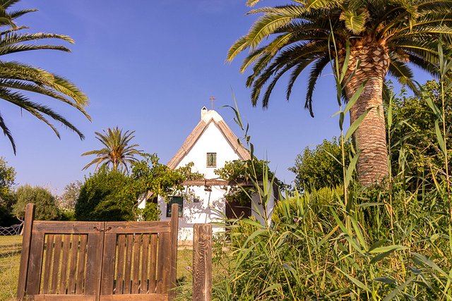 Romeria del Cristo de la Salud El Palmar 