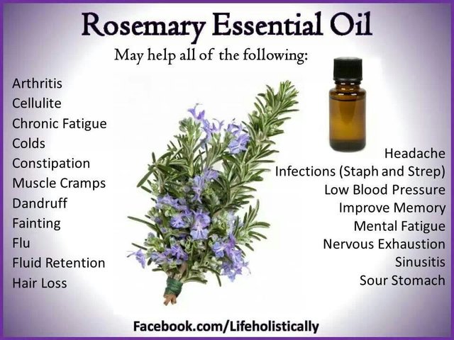 Image of Essential Oil Benefits 3