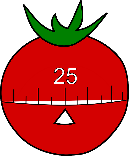 tomato timer for pomodoro technique