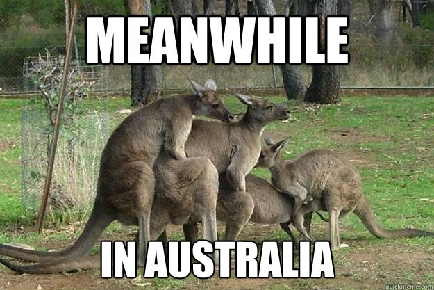 Image result for australians funny