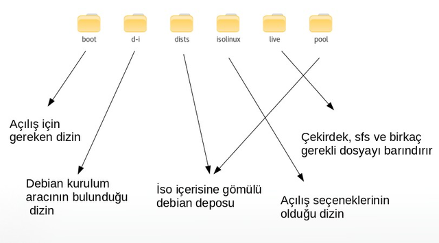 live içeriği