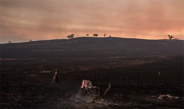 'Through The Outback' by Adam Ferguson in The New York Times