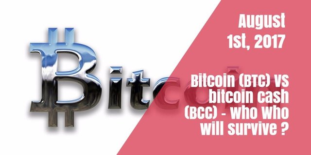 btc bcc bitcoin
