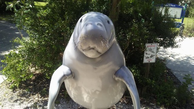 Manatee