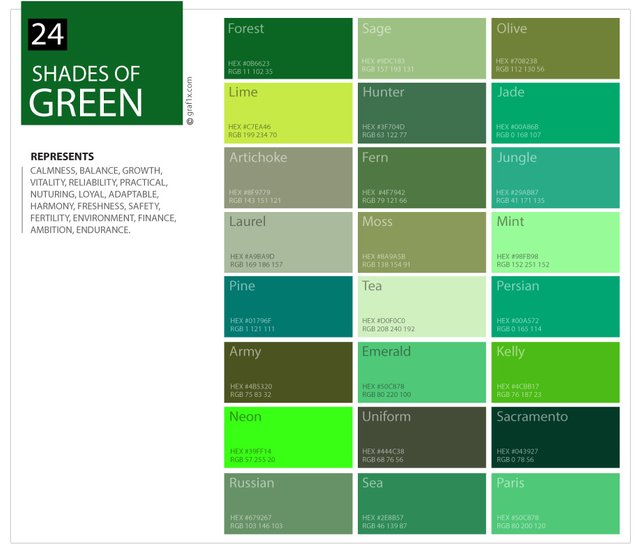 Understanding the Color Green and Its Shades