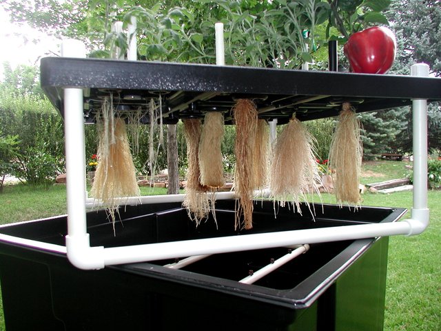 What is Aeroponics