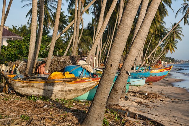 Fisherman at the Beach in Hàm Tiến