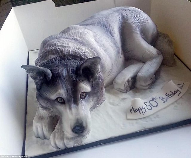 Can You Imagine It is a cake? This Mother Created Pet Cakes — Steemit