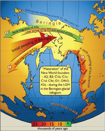 Earliest Human Presence In North America Dated To 24 000 Years Ago   2ba3e91f3a 