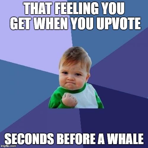 Success kid meme: That feeling you get when you upvote seconds before a whale