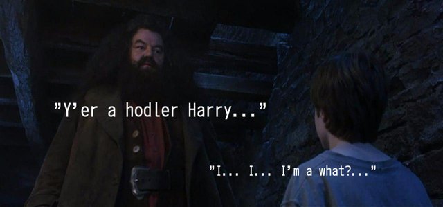 Ye'r a hodler Harry...