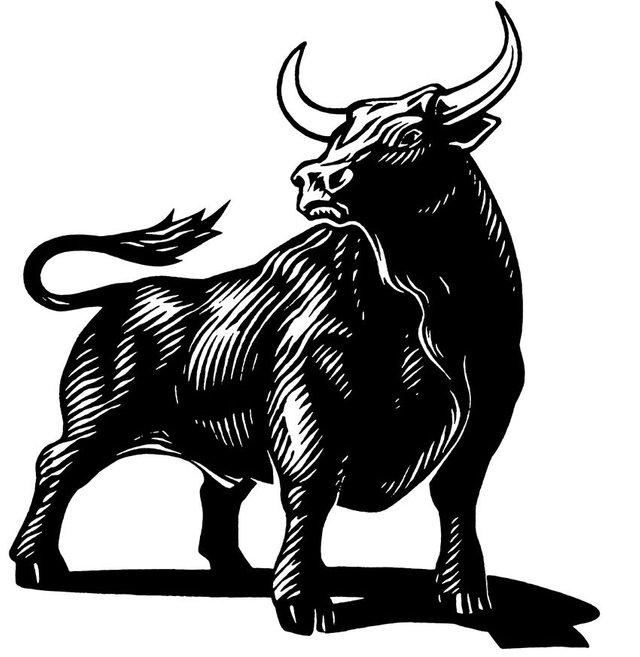 bull drawing