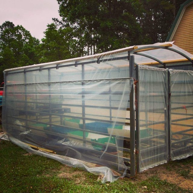 Homemade Greenhouse! — Steemit