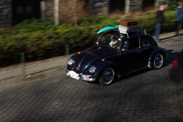 love bug parade brussels 2015