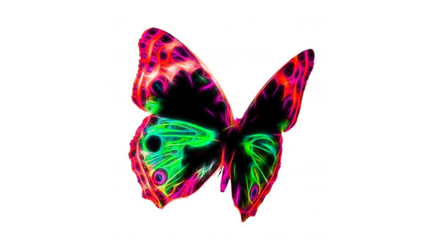 plasma butterfly