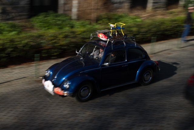 love bug parade brussels 2015