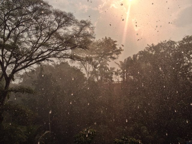 sun-through the rain