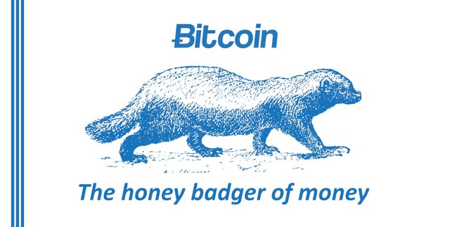 Bitcoin Honey Badger